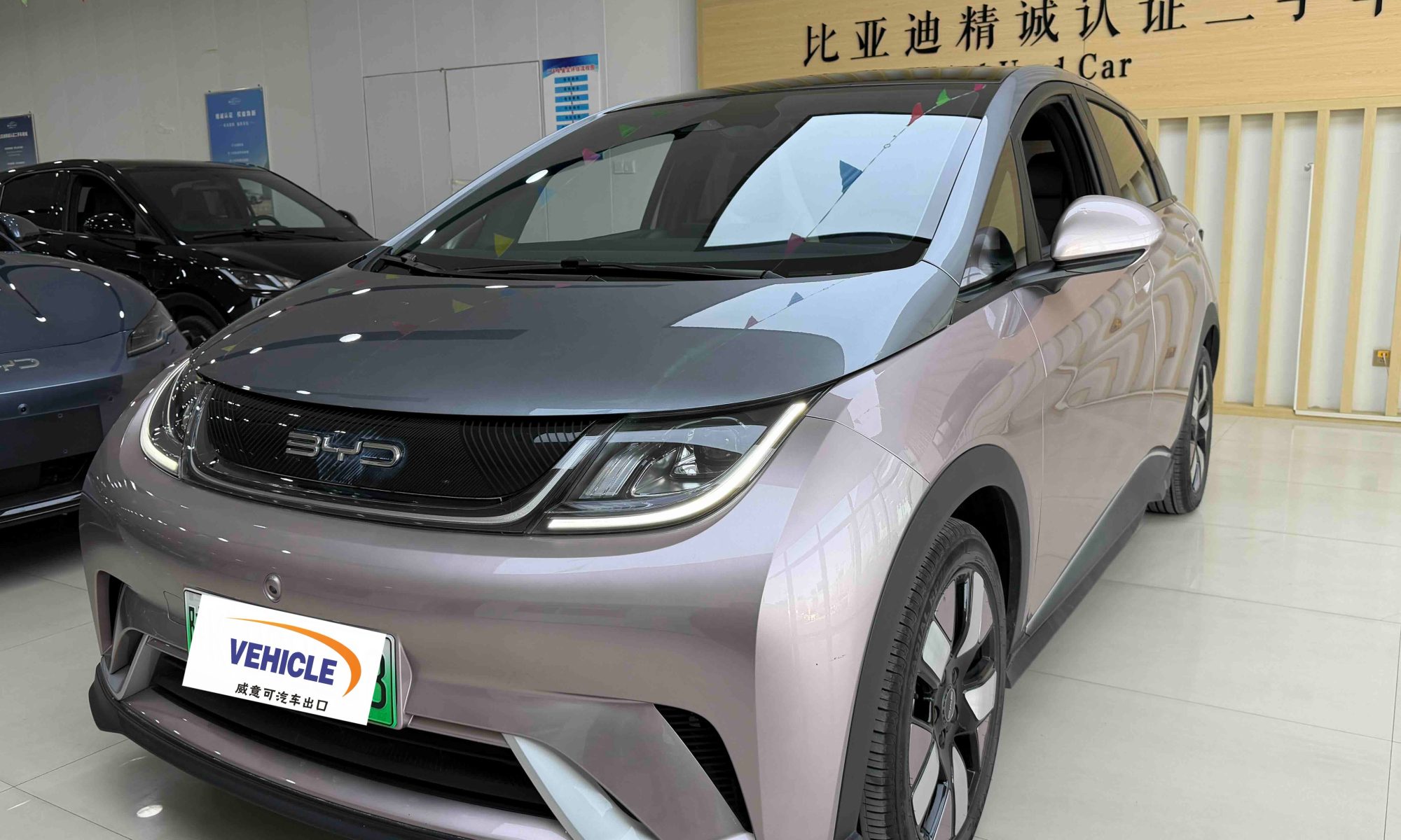 Used BYD Dolphin 2021 401km Knight Edition front view