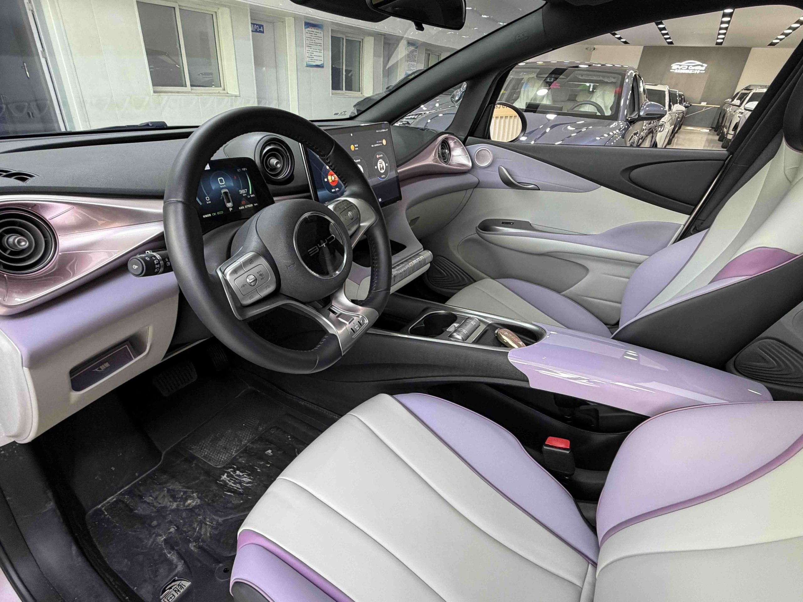 Used BYD Dolphin 2021 401km Knight Edition interior