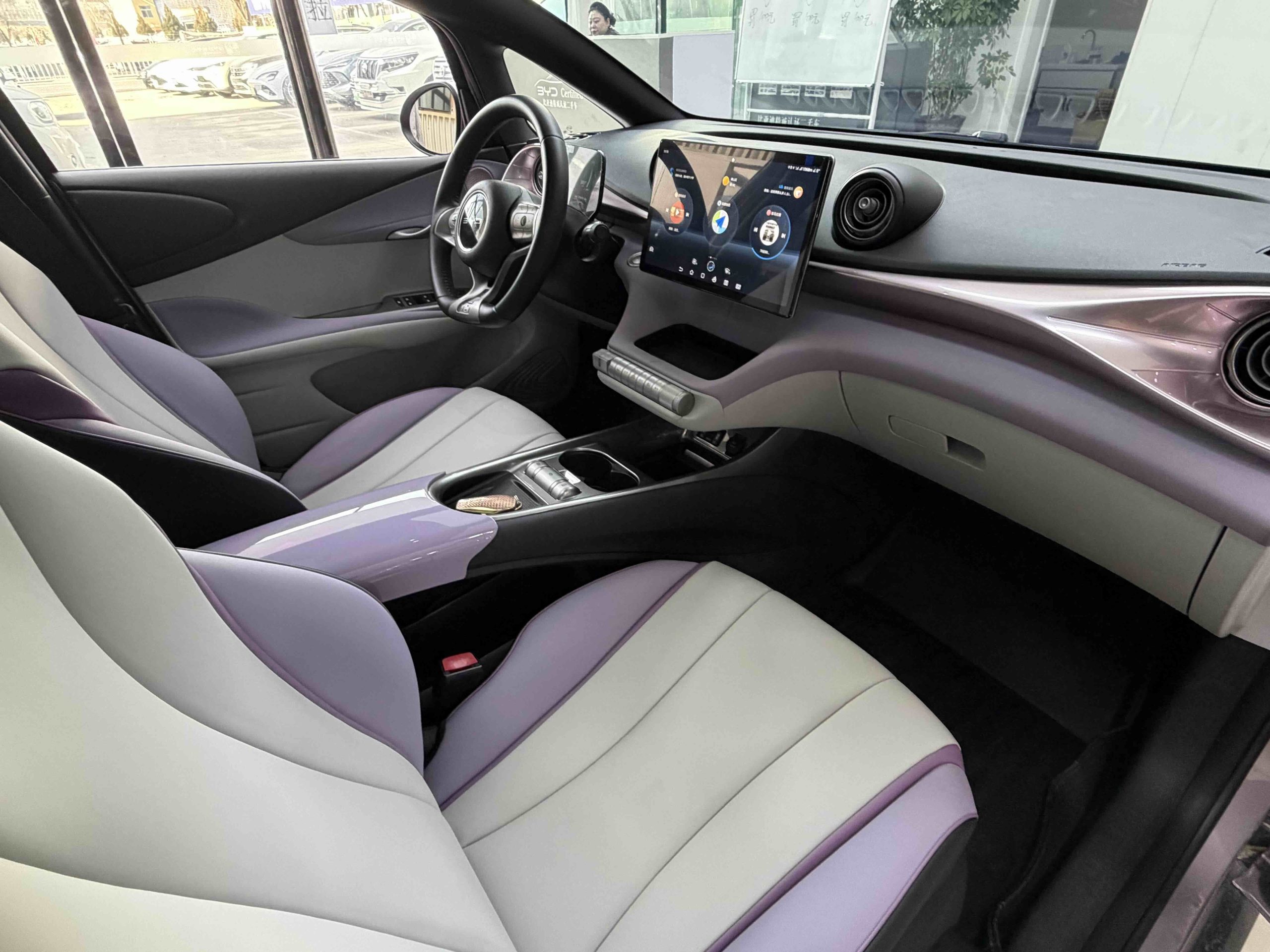 Used BYD Dolphin 2021 401km Knight Edition interior